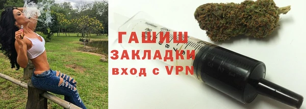 тгк Гусев