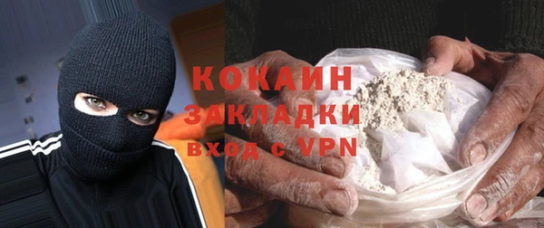 тгк Гусев