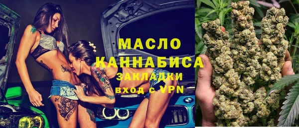 тгк Гусев