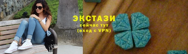 тгк Гусев