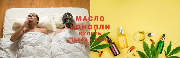 тгк Гусев