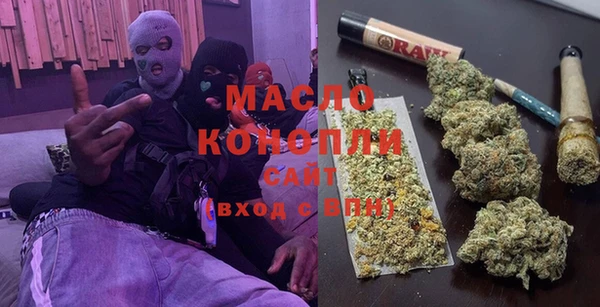 тгк Гусев