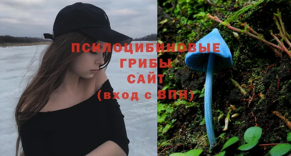 МДПВ Гусиноозёрск