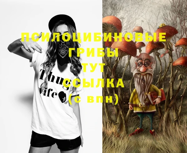 стафф Дмитриев