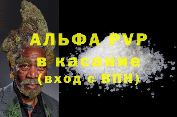молекула духа Дмитров