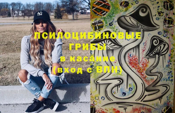 тгк Гусев