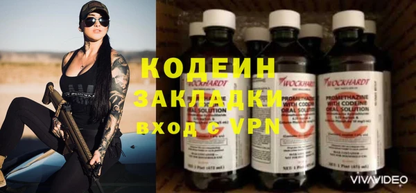 тгк Гусев