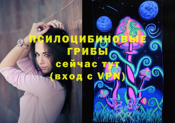 МДПВ Гусиноозёрск