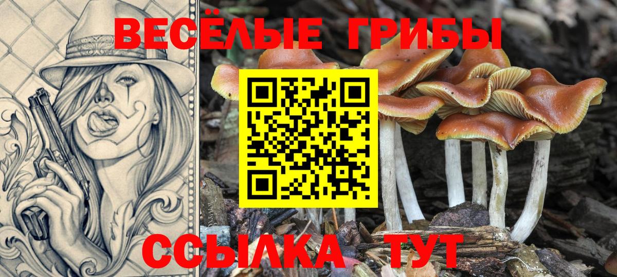 Псилоцибиновые грибы ЛСД Каменск-Шахтинский